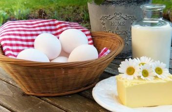 Uova, latte e formaggi ricchi di proteine