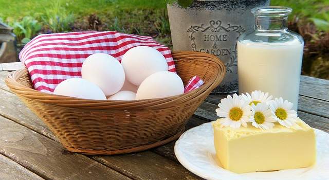 Uova, latte e formaggi ricchi di proteine