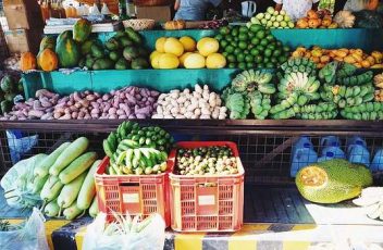 Frutta e verdura cibo biologico